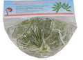 Cassava blad